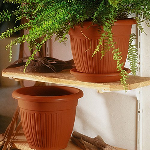 Preisvergleich Produktbild Pflanzkübel ''Dune'' Terra 30cm