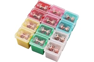 VOANZO 12PCS Car Fuse Box Car Fuses Assorted 20A/25A/30A/40A/50A/60A for Trucks Cars and SUV Boat