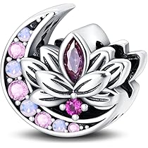 CQWVB Charm Hanger Dames 925 Sterling Zilver voor Armband Kraal Bedel geschikt voor Pandora Armband en Ketting, Compatibel met Europese Armbanden voor Vrouwen Meisjes