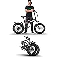 EMotorad Doodle Pro Fat-Tire Foldable Electric Mountain Bike – 250W Rear Hub Motor, 12.75Ah Removable Li-ion Battery, C6+ Display, Front/Rear Lights with Side Indicators
