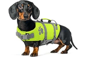 Queenmore Salvagente Cane Taglia Piccola, Leggero, Regolabile, Riflettente, Per Cani Piccoli, Nuotare, Kayak, Paddleboarding (S, Verde)