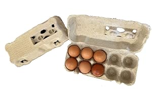 50 vita behållare med 10 ägg i kartong. äggkartonger, återvinningsbara och biologiskt nedbrytbara