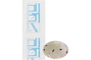 Panngu 40 sztuk przynęt na muchy do okien, przezroczyste paski na muchy, paski na muchy w jakości premium, do okien i okien, koniec z klejonymi muchami na oknie