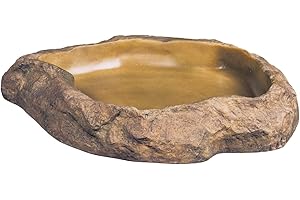 Exo Terra Feeding Dish, Medium