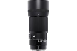 Objetivo Sigma 260965 105mm F2.8 DG DN Macro, Serie Art (Montura Sony E) Black