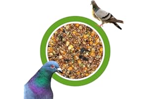KLASEBO Taubenfutter Universal Mischung 25kg – Premium Ganzjahresfutter für Tauben und Wildvögel – Hochwertiges Vogelfutter ohne künstliche Zusatzstoffe