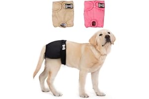 BePetMia Pañales Lavables para Perras, Pañales Reutilizables para Perras en Celo, Female Dog Diapers Sanitarios Altamente Absorbentes (3-Packs, L: 36-54cm)