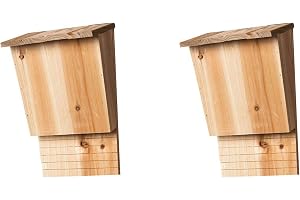 Zolynx 2X Utomhus Fladdermöss Fladdermöss Habitat Box Dekorativ Fladdermöss i Trä Skydd Bo Trädgård Fladdermöss Hus