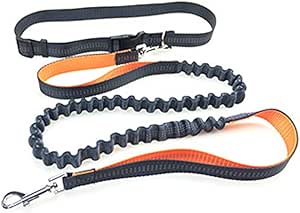 dog leads amazon