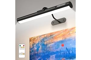bravzurg Luce LED specchio bagno ricaricabile, 4000mAh applique senza fili con telecomando e calamita, wireless wall light, specchio bagno, armadio, muro, lampada parete senza fili per fotografica