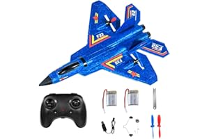 AVCXEC RC Avion, 2.5 CH Avion Télécommandé, 2.4 GHz Jouet Davion Télécommandé, Avion Télécommandé Planeur, Planeur Volant Télécommandé pour Enfants, Débutants (Bleu)