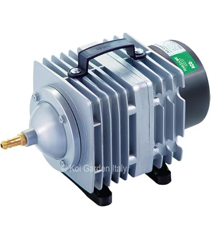 Ossigenatore Per Acquari Senza Elettricità – Pompa Aria Autosufficiente Con Flusso Regolabile Per Laghetti, Axolotl E Sistemi Idroponici