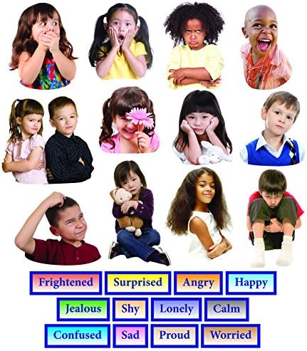 Little Folks Visuals LFV22214 Emotions Flannelboard Set 24Pk