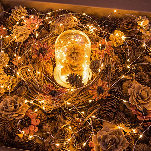 30er LED Draht, Micro Lichterkette Batterie-betrieben Mit Timer für Innen und Außen 8 Modi Wasserdicht Batteriefach auf 9.8ft silbernem Kupterdraht Warmweiß Weihnachtsbeleuchtung Deko Von Oak Leaf - 8