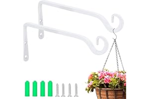 AFASOES 2 supporti per piante da parete, 25 cm, ganci bianchi per balconi, da parete, da appendere, per fioriere, per cesti di fiori, per uccelli, lanterna