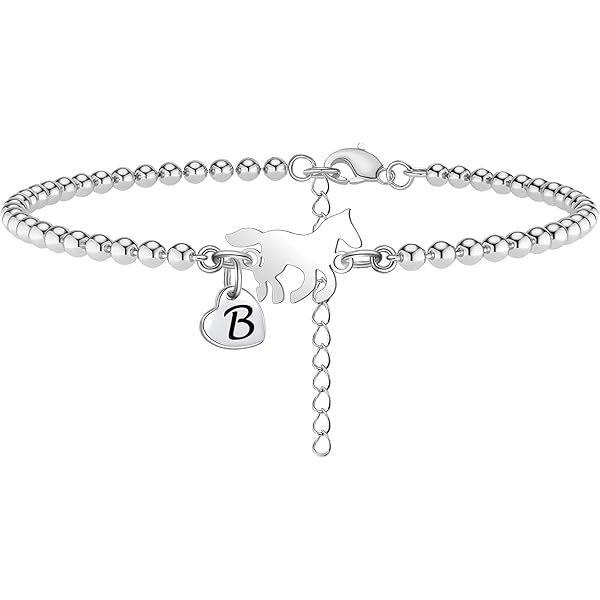 Pulsera De Plata De Ley 925 Para Mujer - Colgante De Herradura Con Circonitas, Sofia Milani