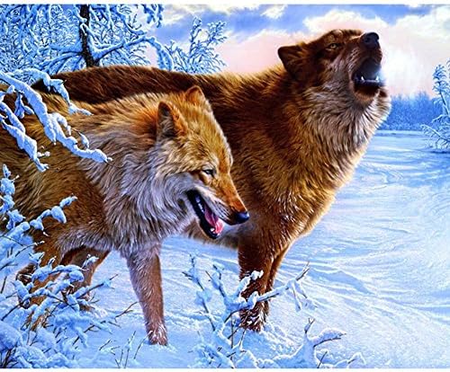 5D DIY Diamond Painting Cross Stitch Resin Home Decoration Living Room Bedroom loup-30 x 40 cm