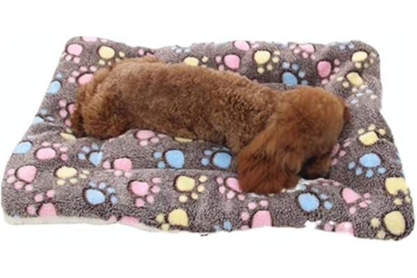 Vejaoo Flanelle Douce et Chaude Couverture Chaude, épaisse Couverture de Chien Tapis de Chat XZ006 (79 * 60 CM, Coffee)