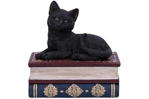 Nemesis Now Salems czarownice znane czarny kot i pudełko z księgą zaklęć, 11,7 cm