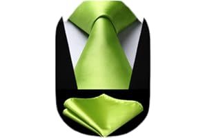 HISDERN Cravate Homme Mariage Fete Cravates et Mouchoirs pour hommes Cravate Classique Ensemble Carré de Poche,Couleur unie