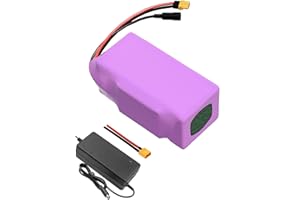 SEILYLANKA avec Chargeur 14ah 6s4p 24V Batterie vélo électrique Li - ION réglable 120x90x70mm Batterie