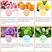 Molain Bath Bombs Balls 6 x 3.53oz Fizzy Natural Organic Scented Gift Set for Relaxing Spa