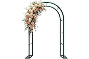 GENERIC Arco De Rosas Y Plantas Trepadoras De Jardín, Decoracion Patio Arch De Metal, Tutor Enrejado para Al Aire Libre, Soporte De Flores para Boda, Fiesta, Ceremonia Exteriores(Green,W240 x H220cm)