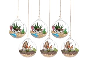 GLASSEAM Plantas Colgantes de Aire 6 Piezas Portavelas de 4 Inches Cristal Terrario Portavelas Contenedores de Plantas de Vidrio para el Diseño de Bricolaje de Jardín de Bodas en Casa