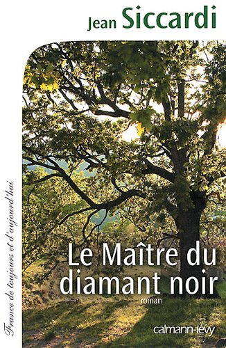 couverture de : Le ma&icirc;tre du diamant noir