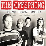 Punk Down Under 1995 - The Offspring