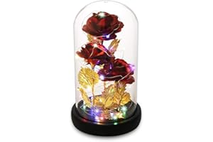 DREAM OF FLOWERS Roses Éternelles Pour Elle, Cadeau de fête des Mères, Roses La Belle et la Bête, Roses Lumineuses - Saint Valentin Fête des Mères Anniversaire Souhaits Cadeaux pour Maman Femme Petite Amie