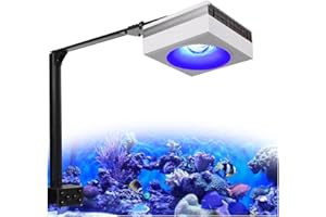 PopBloom WiFi LED Acquario Marino 100W, Lampada Acquario Marino a Spettro Completo per acquario di pesci SPS/LPS, L'APP supporta l'italiano (1 lampada wifi con kit di montaggio)