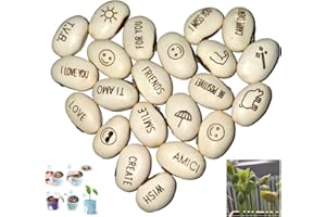 JEYEFFE J & J Pack de 20 graines haricots magiques idée cadeau magie récurrence événement de curiosité idée cadeau maison bingo noël