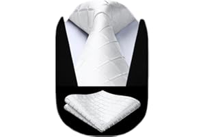 HISDERN Cravatta Uomo Elegante Formale Classico a Quadri Tinta Unita Cravatte e Fazzoletto da Taschino Uomo per Sposa Matrimonio Festa Lavoro