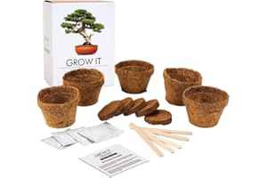 Monsterzeug Bonsaibaum zum Selber pflanzen, Bonsai Starterset, japanischer Baum Anbauset, Pflanzset mit Saatgut, Gärtner Geschenkset