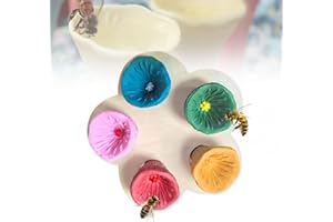 PGTC Vaso bebedero para verandas de jardín,vaso bebedero para insectos,vaso bebedero para polinizadores,mini vaso bebedero colorido para verandas de jardín