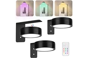 ELIPHONTOWNE 3 PCS Picture Lights for Wall - Remote Control 13 Colors LED Magnetic Wall Lights for Home Bedroom Living Room Photo, Wireless Art Battery Operated Picture Light, Poster Light (Black, Need BATTERY)