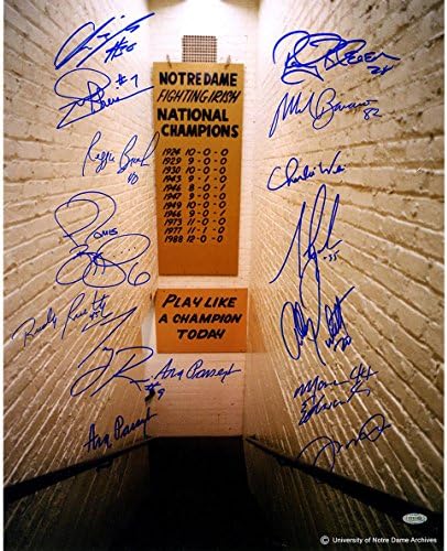 NCAA Notre Dame Fighting Irish Greats 15 Signature Locker Room Tunnel