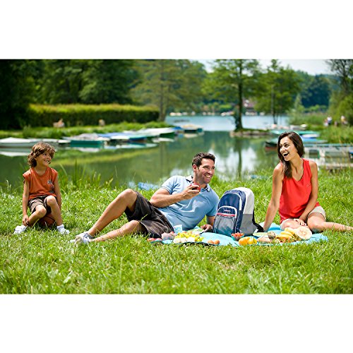 Campingaz 2000011728 Kühltasche Bacpac als Rucksack, blau/grau (42 x 31 x 13 cm) - 3