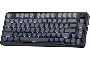 Redragon K673GB 75% Wireless Gasket RGB Gaming Keyboard, 3 Mode 81 Keys PBT Compact Mechanical Keyboard, Dedicated Button Control and 5-Layer Noise Cancellation, Linear Switch