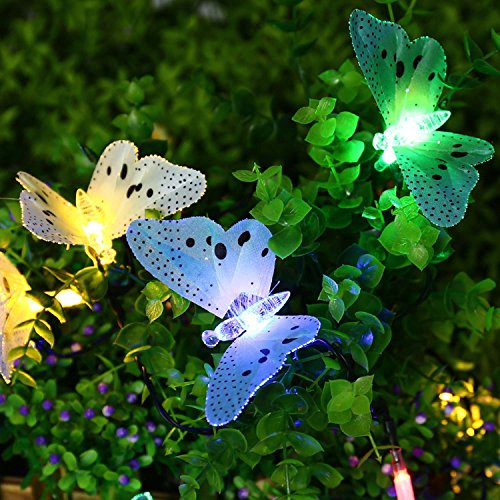 QederTEK Solar Schmetterlinge Lichterkette 20 LED 4,8 Meter, 2 Leuchtmodi, Wasserdichte Beleuchtung Dekoration mit Lichtsensor Deko für Halloween, Allerheiligen, Außen & Innen,Weihnachten, Party, Festen(mehrfarbig) - 5