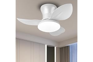 EKDADL 65CM Silenzioso Ventilatore da Soffitto con Luce e Telecomando 6 Velocità 0%-100% Dimmerabile 3 Pale Plafoniera Ventilatore da Soffitto 3 Pale