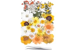 YoothBro Suszone prasowane kwiaty do form z żywicy, prawdziwe, naturalne tłoczone kwiaty do rękodzieła artystycznego, produkcji świec, dekoracji paznokci, produkcji mydła, etui na telefony komórkowe w