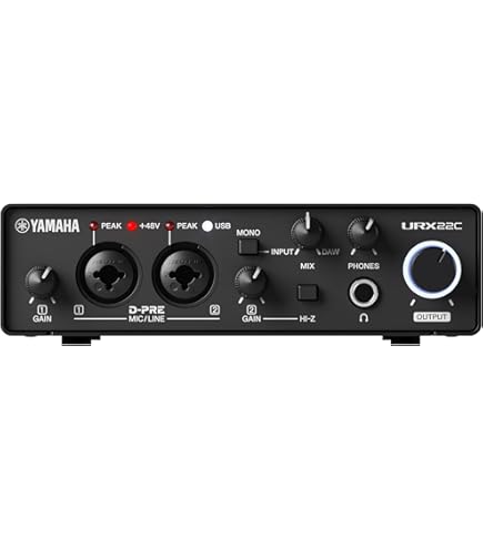 Steinberg Audio Interface UR22C Recording Pack : Amazon.in