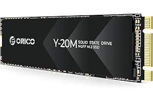 ORICO 256Go M.2 2280 SATA SSD, SATA III 6Gbps M2 SSD avec Clé B+M, 500MB/s Disque Dur Interne pour Ordinateur de Bureau/Portable - Y20M
