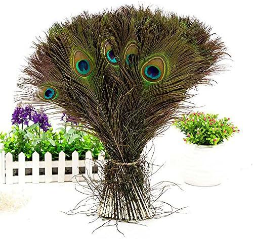MIGUOR 30pcs Real Natural Peacock Tail Eyes（10”-20”） Feathers Perfect for Wedding Party Christmas Halloween And Crafts Home Decorations DIY