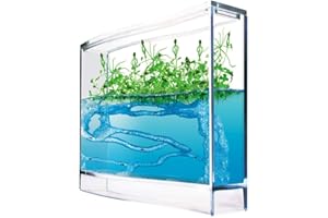 Monsterzeug Gel écosystème pour fourmis terrarium Antquarium Super Forest Ant avec graines de plantes et loupe