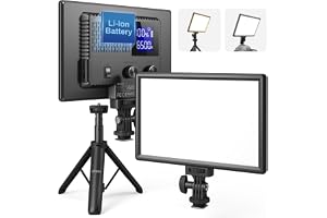 RALENO LED-videoljus, kameraljus för bilder Videoinspelning med 4000mAh batteristöd Typ-C USB-strömförsörjning, CRI>95 3200K