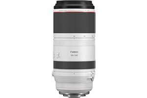 Canon Objetivo RF 100-500mm F4.5-7.1L IS USM - Lente Zoom Teleobjetivo Serie L, Ideal en Viaje y Naturaleza, Ligero, AF de Motores USM y estabilizador óptico 5 Pasos, Compatible Sistema EOS R, Negro