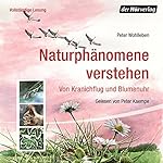 Naturphänomene verstehen: Von Kranichflug und Blumenuhr